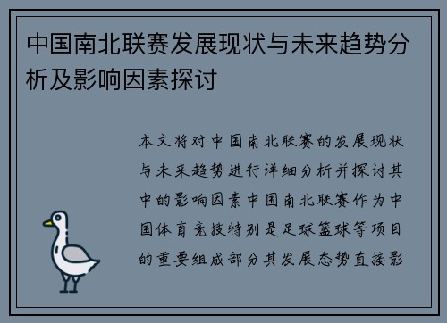 中国南北联赛发展现状与未来趋势分析及影响因素探讨