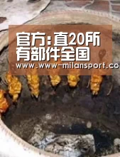 官方:直20所有部件全国产 我国直升机发动机获突破_米兰体育官网登录(图3) 米兰体育app