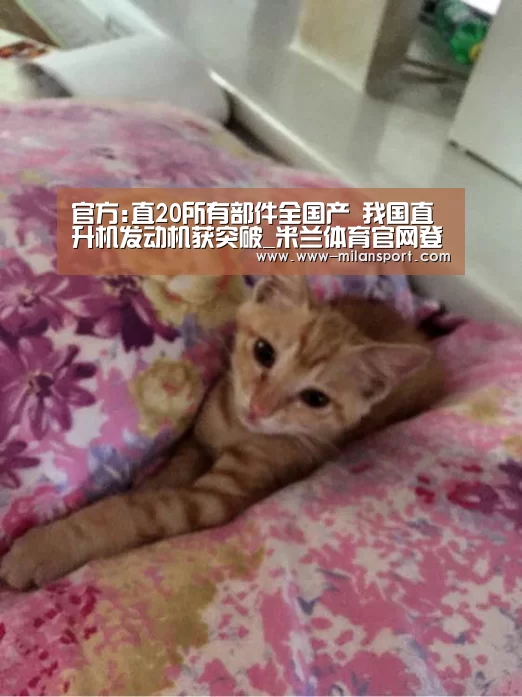 官方:直20所有部件全国产 我国直升机发动机获突破_米兰体育官网登录(图4) 米兰体育平台