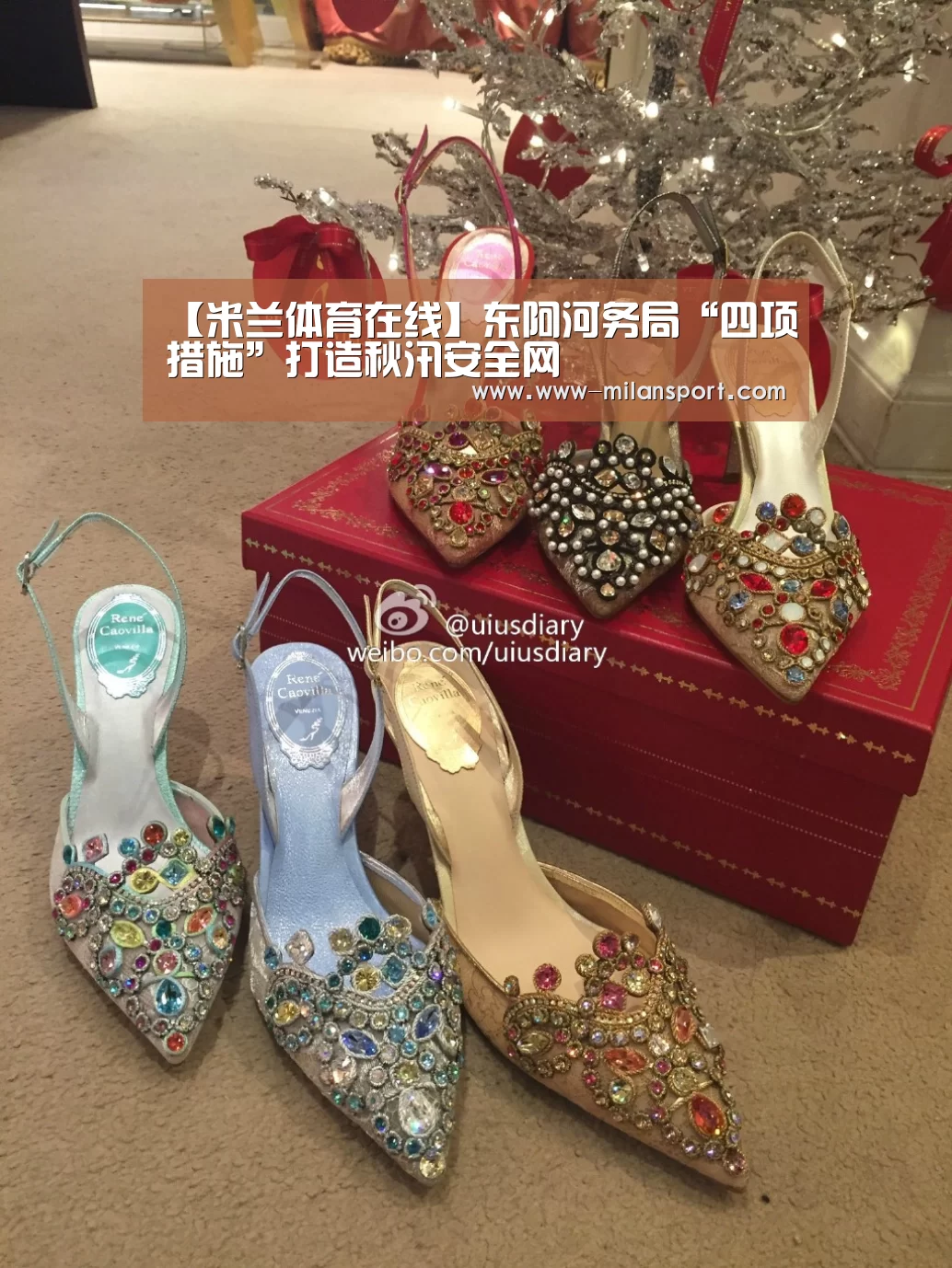 【米兰体育在线】东阿河务局“四项措施”打造秋汛安全网(图2) 米兰体育在线